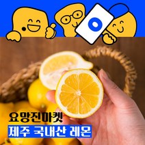 후가공없는 국산레몬 제주 서귀포 국내산 레몬 즙 택배 1.5kg, 3kg 중과+대과 홉합(16개~24개입)