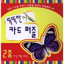 똑똑한 카드 퍼즐(곤충):사진 퍼즐 10장, 똑똑한 카드 퍼즐(곤충)(퍼즐), 훈민출판사 편집부(저),훈민출판, 훈민출판사