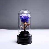 뮤직박스 어린 왕자는 영원히 살아요 꽃 오르골 여자친구 여학생 생일선물 우드 곽천성 2450613901, 블루 (뮤직박스 무등 )