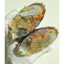 연평도 활꽃게 급냉 암꽃게, 2kg(6~8미)