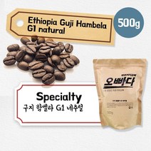 파주커피오빠 에티오피아 구지 함벨라 G1 네추럴 500g, 더치용분쇄