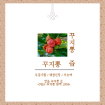 꾸지뽕 추출물 국내산 100% 무농약 해썹인증 엑기스 나무 차 열매 즙 진액 60포 (프리미엄 마카포함), 100mlx60포(1개월분)
