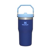 Stanley 스탠리 스테인리스 스틸 물병빨대 가정 사무실용 진공 단열 물병, 20온스, 청금석