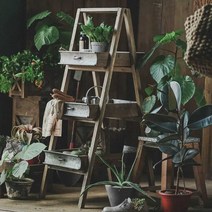 원목 화분 받침대 사다리 사다리선반 발코니 다육이