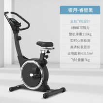 헬스장자전거 미니 실내 자전거 메릭 실버 문 스피닝 홈 피트니스 스포츠 체중 감량 장비, Wisdom Black 매뉴얼 에디션-마그네틱 플