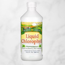 써니그린 엽록소 클로로필 구리 페퍼민트 맛 480ml, 480ml 1개