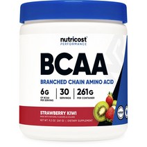 뉴트리코스트 BCAA 스트로베리 키위 맛, 261g, 1개