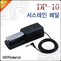 보스 롤랜드 DP-10 건반페달