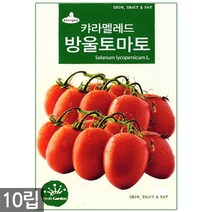 백작두콩 씨앗 10립 - 작두콩 작두콩씨앗 작두콩씨 콩씨앗 콩씨 씨 주말농장 텃밭, 10_캬라멜레드방울토마토(10립)