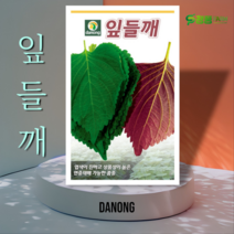 다농 잎들깨 씨앗 10g 쌈채소 깻잎 종자