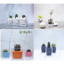 화분월드 백자갈 꿈돌 강자갈 흑자갈 칼라스톤 에그스톤, 삼색자갈0호(1kg)