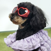 펫카 자외선 UV차단 반려견 강아지 선글라스 고글 하트, 레드