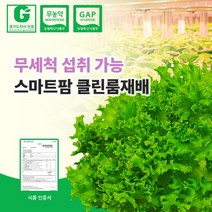 무농약 친환경인증 국내산 스마트팜 수경재배 유기농 유럽샐러드 채소 프릴아이스 1kg