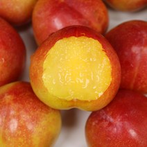 청송 자두 산지직송 왕자두 마지막자두 가을자두 추희자두 3kg, 1박스, 3kg 80g내외 실속