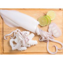 오징어솔방울(자숙) (실중량:200g) 5개 냉동오징어