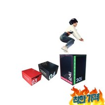 크로스핏 하체 허벅지 폴리오 기구 스텝 점프 힙업 전신- 4번, 크로스핏 박스 하체 허벅지 폴리오 기구 스텝 점프 운동