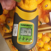 제주 특명품 한라봉 천혜향 3kg 설날 명절 선물세트 고당도 14브릭스, 한라봉 대과3kg (8-9과)