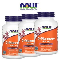 [2+1] 나우 푸드 디마노스 500mg 120 캡슐 D Mannose 디만노스