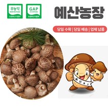 무농약인증 GAP인증 표고버섯 산지직송 생표고버섯 고급형 이유식 끝내주는 화고, 1kg, 1개