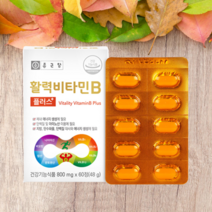 종근당 수용성비타민 비오틴 판토텐산 나이아신 엽산 활력비타민B 플러스60정 2개월분 비타민비