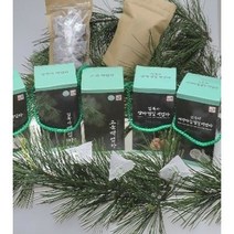 6시내고향백엽차 숙면에좋은 3box 무카페인차 무농약유기농차 솔향차 잣 백엽차 솔잎차, 3박스
