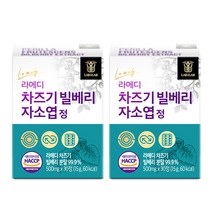 라메디 고농축 차즈기 추출물 빌베리 눈 자소엽 캡슐 영양제, 8주분(2박스)