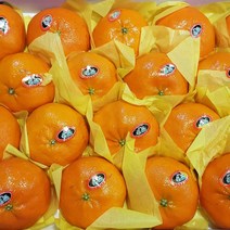제주 레드향 3kg 5kg 가정용 고 당도 선물세트 특 대과 벌크 특대형선물용 가정용벌크, 2. 레드향 가정용 벌크 3kg 내외 중과