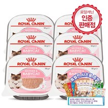 로얄캐닌 마더&베이비캣 울트라 소프트 무스 트레이 100g*6캔+Gift Set 특별한 사은품(츄르5P+시리얼4P+수비드), 단품, 6캔