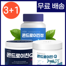 콘드리친 콘드로이친 효능 가루 분말 관절엔 콘드로이친 zs 코드로이친 1200 코즈덤, 02. 건강앤 콘드로이친Q 200g 약2개월분