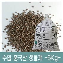 농협 애호박 20개(6kg내외), 1세트