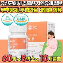 무부형제 유산균배양 자연유래 철분 비헴철 유기농 부원료 철분제 임산부 임신 준비 초기 중기 후기 수유부 모유수유 출산후 어린이 청소년 가임기 20대 30대 여성 여자 영양제, 60캡슐 X 5박스 (5개월분)