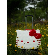 16 18 인치 예쁜 헬로키티 캐리어 가방 키티 얼굴 작은 미니 레디백 휠 여행 기내용 소형 스키장 물놀이 1인 트렁크 보조 하드 케리어