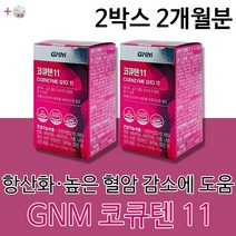 GNM 지엔엠 이성경 코엔자임 코큐텐 큐텐 Q10 영양제 건강기능식품 항산화 작용 높은 혈암감소에 도움 여성 여자 30대 40대 50대 건강 식품 제품 +알약케이스증정, 2개월분(인기할인)