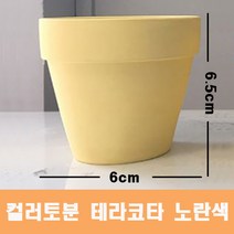 컬러 토분(노란색) 화분 미니토분 다육이 테라코타[지름6cmX높이6.5cm] 수입도매