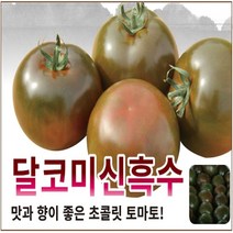 아시아종묘 토마토씨앗 달코미신흑수 (10립)