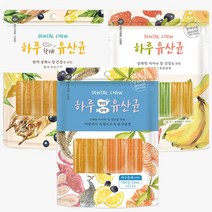[도그씨] 네츄럴코어 하루유산균 12p x2개 소프트껌 3종, 선택:02. 하루유산균 미트혼합껌