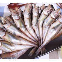 알이꽉찬 동해안 반건조 알 도루묵 10미 20미