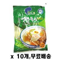 해들인 얼음골 냉면육수310ml x 10개, 310ml