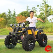 ATV 오토바이 4륜 4륜 짐운반 사룬바이크 농업용, 빅불 패키지 나인 250cc 디럭스