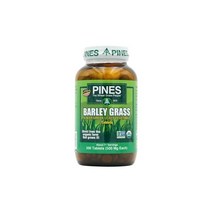 Pines 파인즈 새싹 보리 개입 500개입 미국