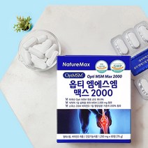 네이처맥스 옵티 엠에스엠 맥스 2000 MSM, 60정, 1개