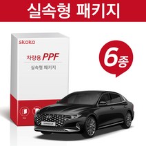 스코코 더 뉴 그랜저 2020 실속형 PPF 패키지 6종, 더뉴그렌저 2020:자동차 실속형 무광