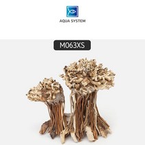 아쿠아시스템 모스트리 분재유목XS M063XS