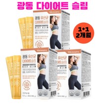 락토바실러스 람노서스 람노스 체지방 감소 탄수화물 합성 억제 가르시니아 캄보지아 장 건강 배변활동 19종 혼합 유산균 보장균수 1억 프로바이오틱스 광동 유산균 다이어트 슬림 30포, 2개