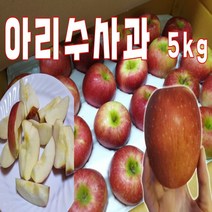 엔부 얇은껍질 양광 아리수사과 5kg