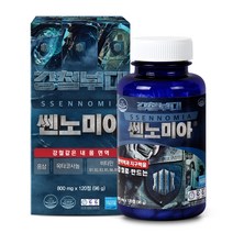 강철부대 쎈노미아 옥타코사놀 홍삼 쏘팔메토 나이아신 판토텐산 아연 비타민B 엽산 비수리 마카 겨우살이 아르지닌 타우린 남가새 드럼스틱씨앗 지구력 면역, 2팩, 120정