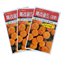 메리골드꽃씨앗 10립, 1개