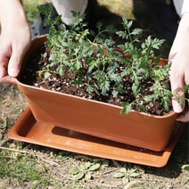 학교 음식점 직사각 플라스틱 텃밭화분 관공서 거실화분 다용도실, 화이트