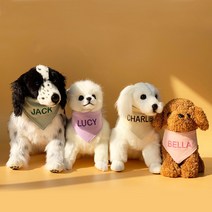 유앤펫 강아지 고양이 순면 네이밍 자수 커스텀 스카프 케이프, 베이지(이모티콘2000원)