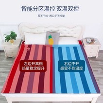 캠핑전기매트 캐주얼 디자인 실외 차박용, E